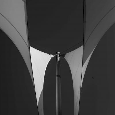 Wings - Monovision Award